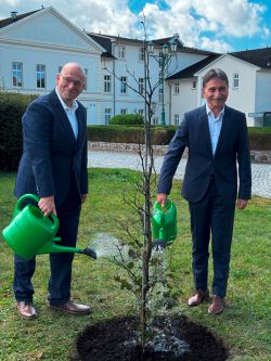 Landrat Christian Müller und Ion Dumitrel, Präsident der Region Alba, pflanzten auf dem Innehof der Prignitzer Kreisverwaltumng eine Rotbuche – eine Baumart, die in beiden Regionen gedeiht. Foto: Bernd Atzenroth / Landkreis Prignitz